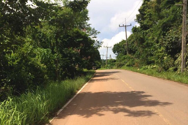 Koh Lanta Forested Road
