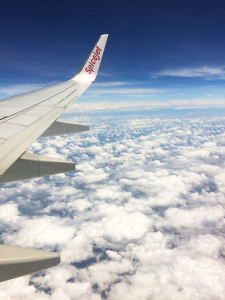 SpiceJet Flight