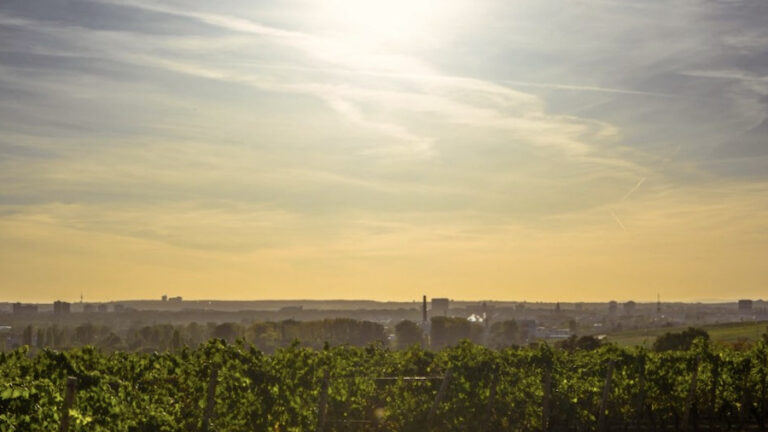 How to Deal with Europe's Heat Waves