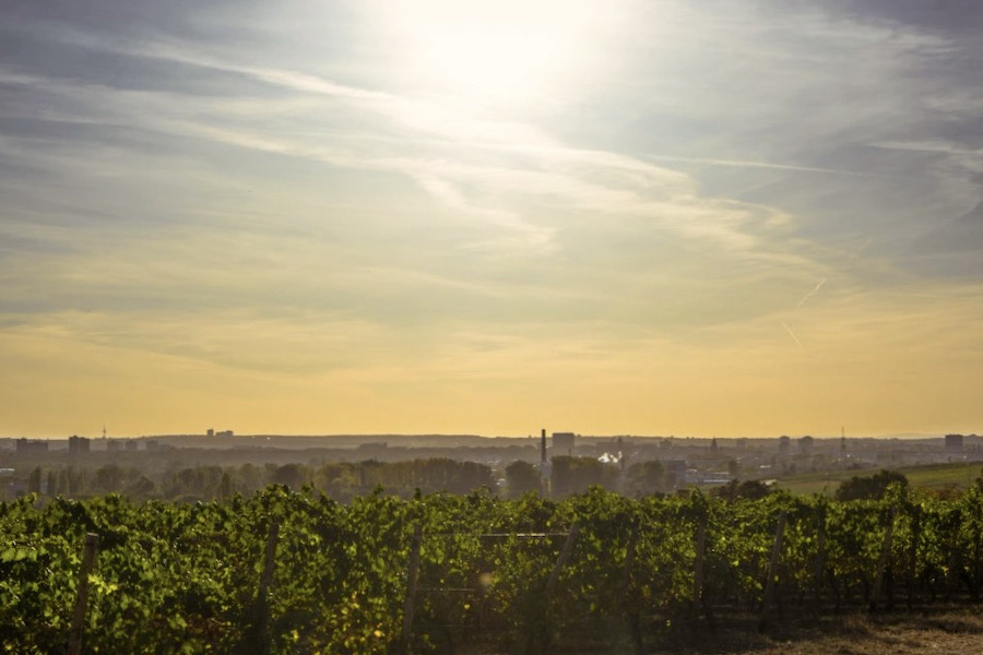 How to Deal with Europe's Heat Waves